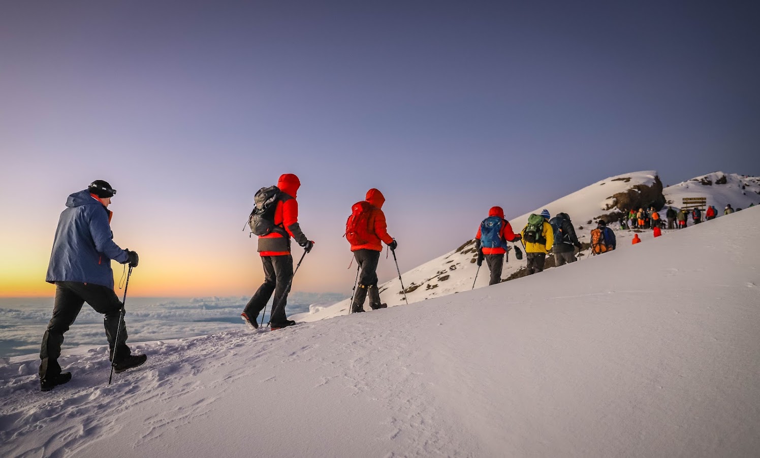 Group trekking Machame Route 7 Days with summit in view