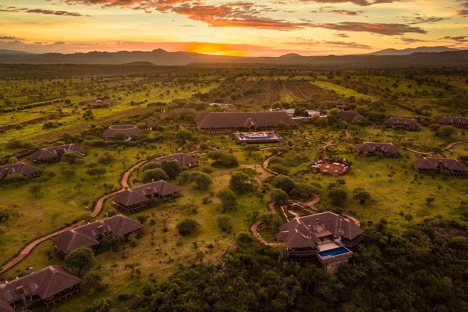 tanzania safari vs kenya safari comparison