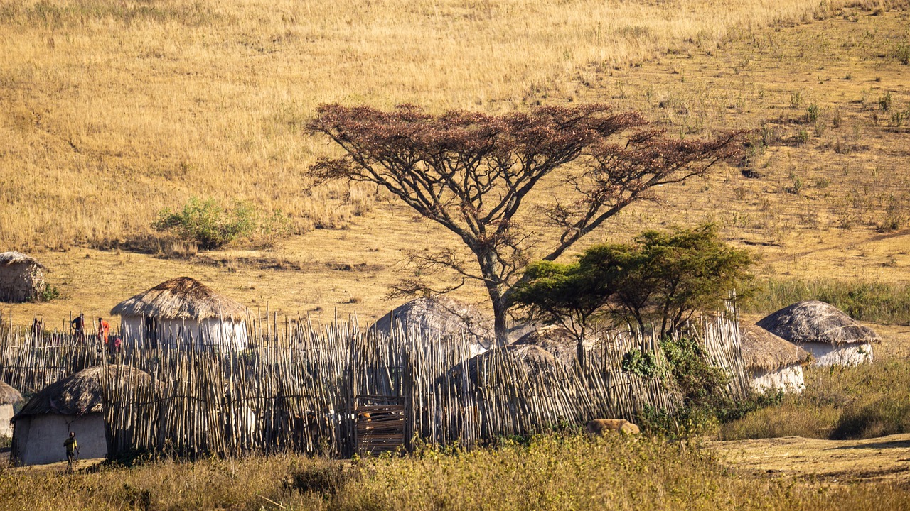 tanzania, africa, nature