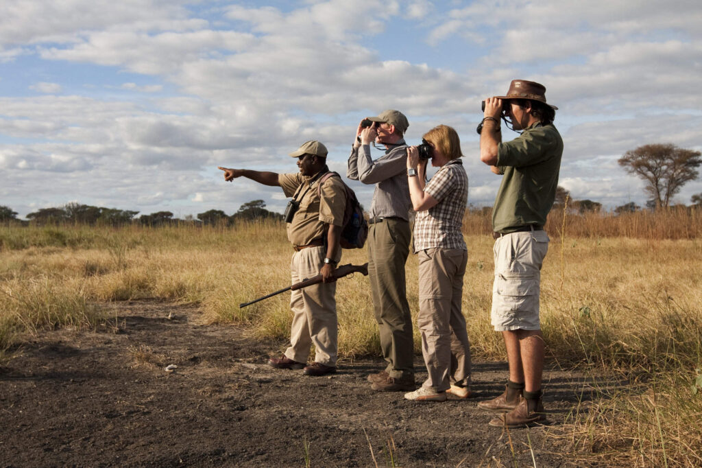 walking safari nyerere national park guide
