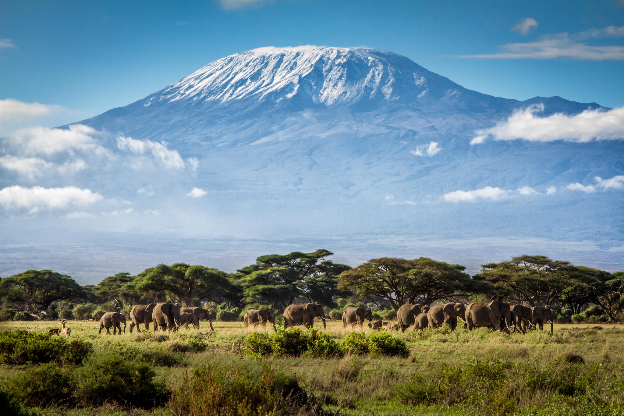 kilimanjaro located in the same northern circuit as Serengeti
