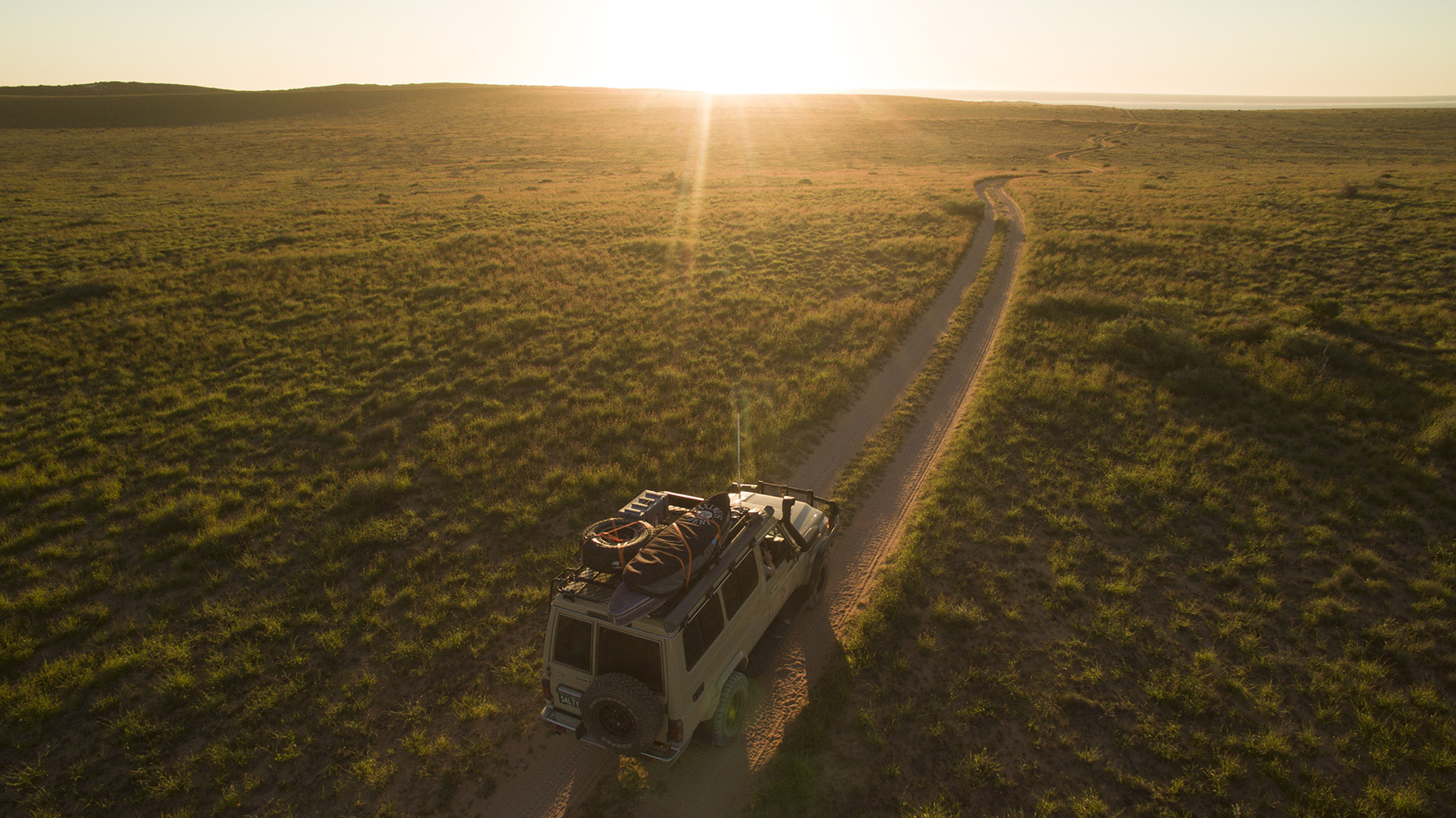 serengeti vs masai mara safari plains