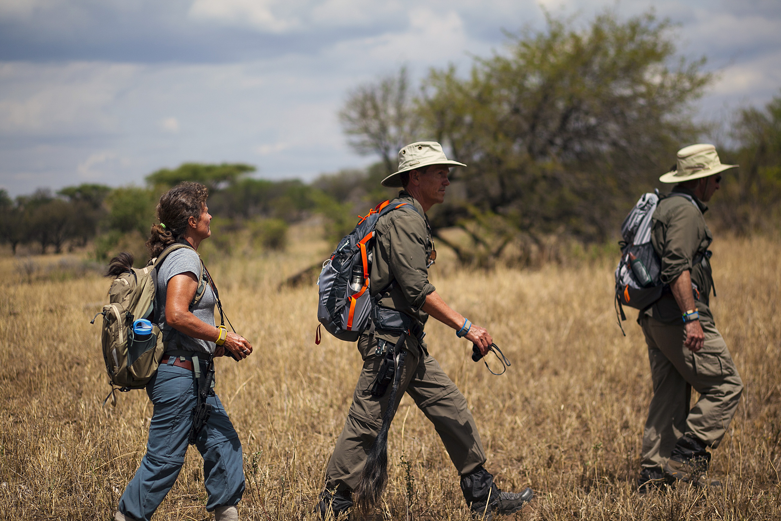 Tanzania Safari Nature Walks: Discover the Bush on Foot