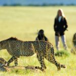 walking safari serengeti