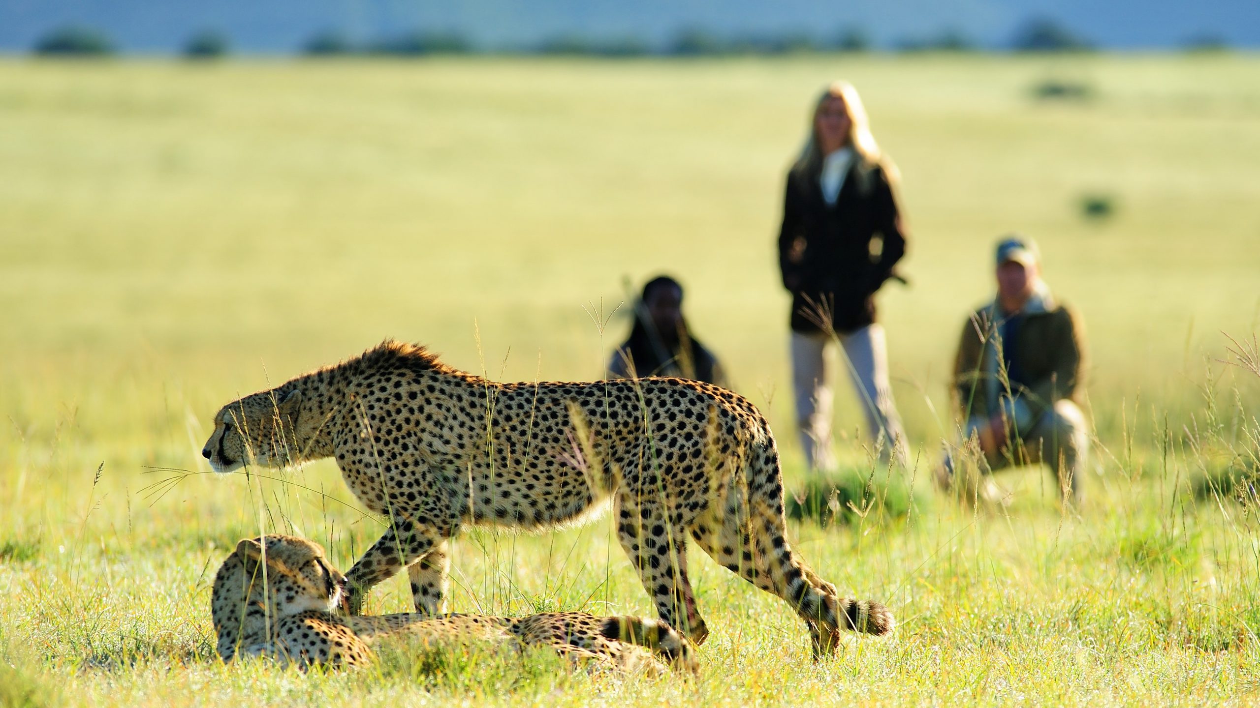 walking safari serengeti