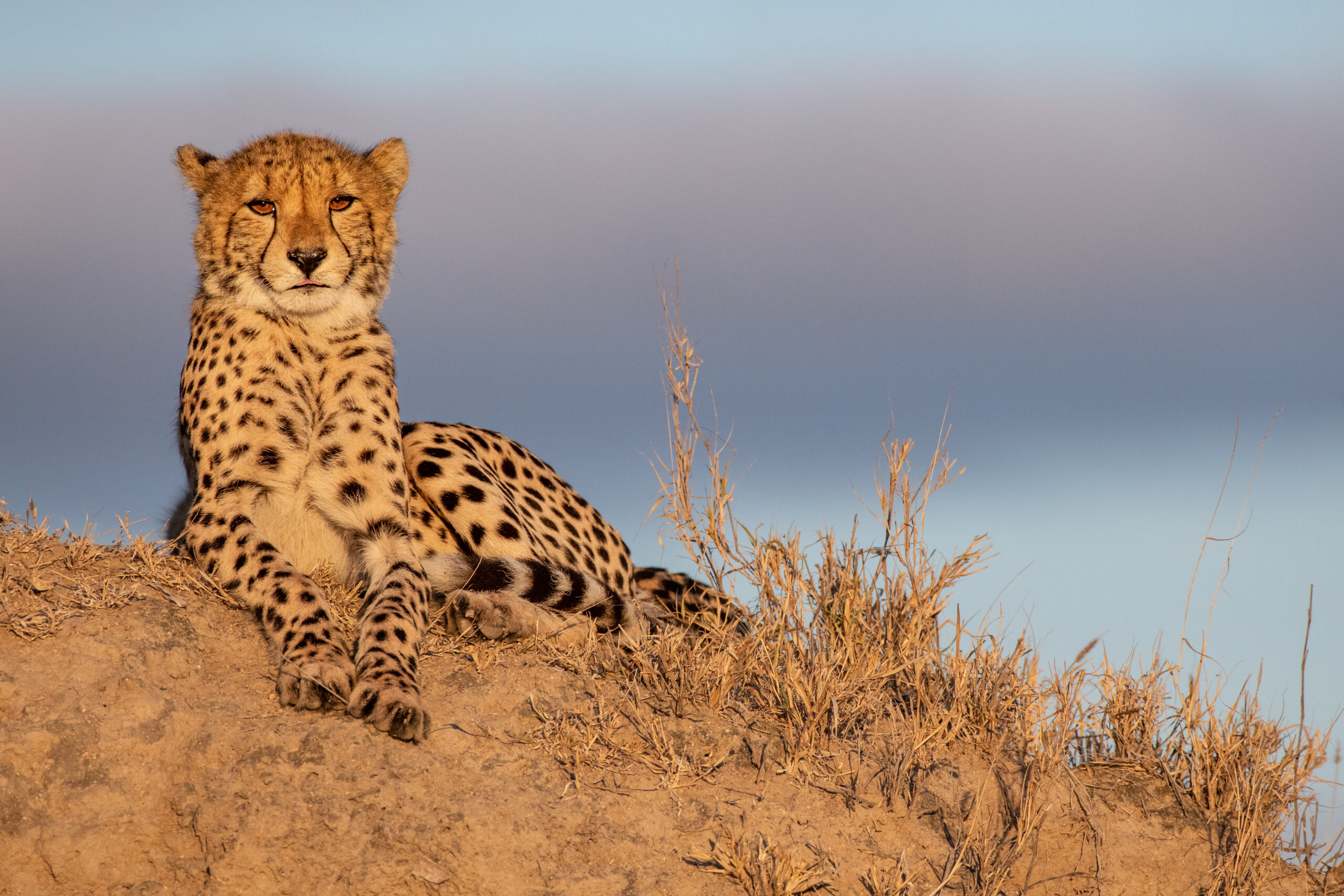 best time to visit Serengeti