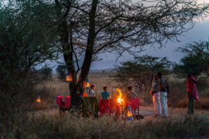 bush dinner in serengeti