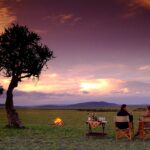 night game drives in Tanzania