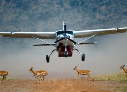 Tanzania fly-in safari plane landing on Serengeti airstrip