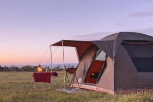 budget safari Tanzania
