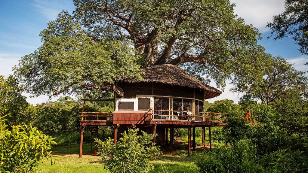 elewana tree top Tanzania safari 