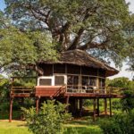 luxury Tanzania safari vacation