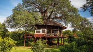 luxury Tanzania safari vacation
