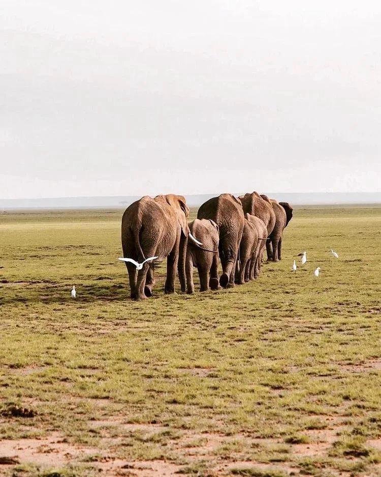 Ngorongoro Conservation Area