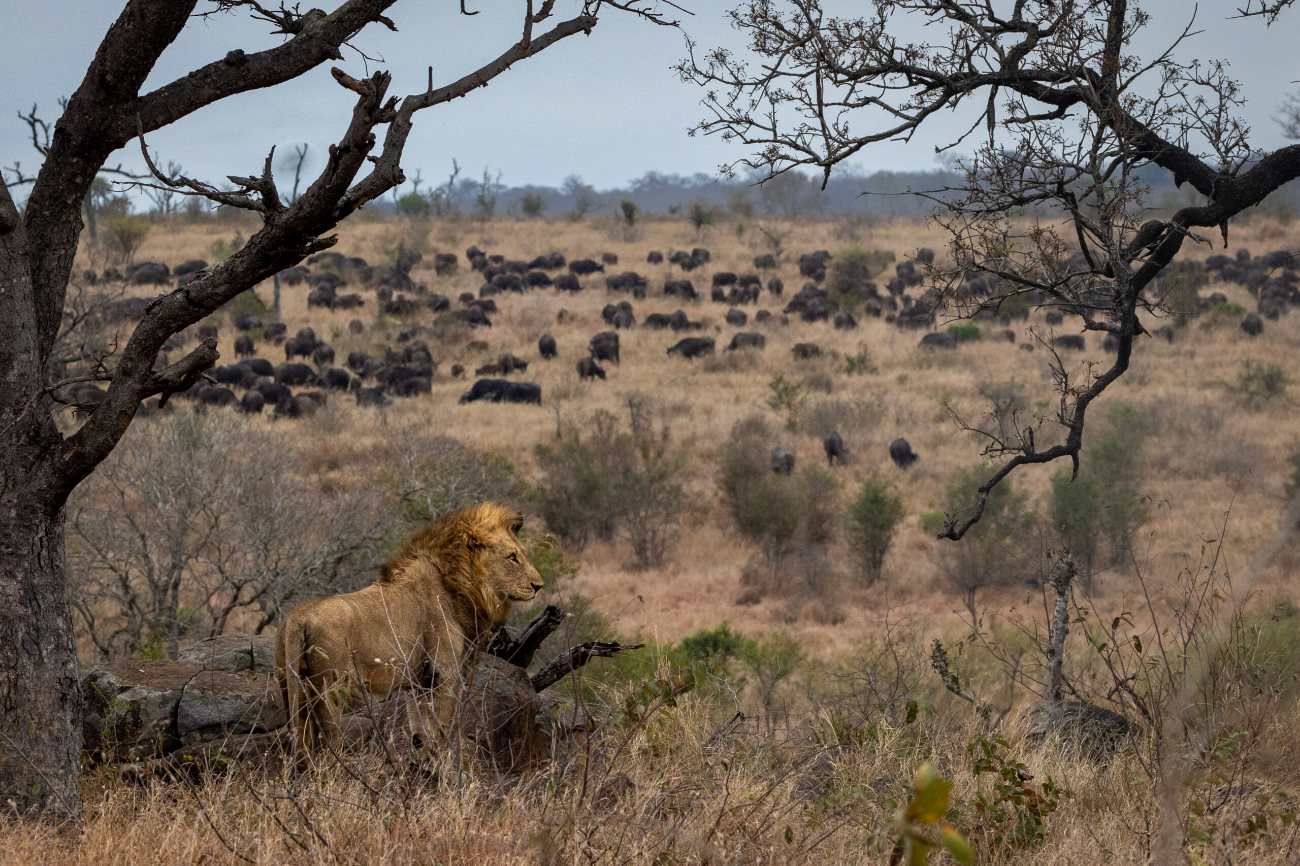 Tanzania hidden parks