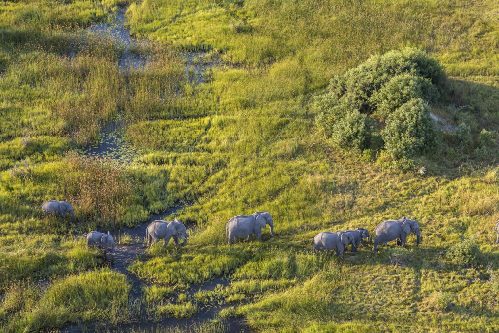 Luxury Tarangire Safari Tours