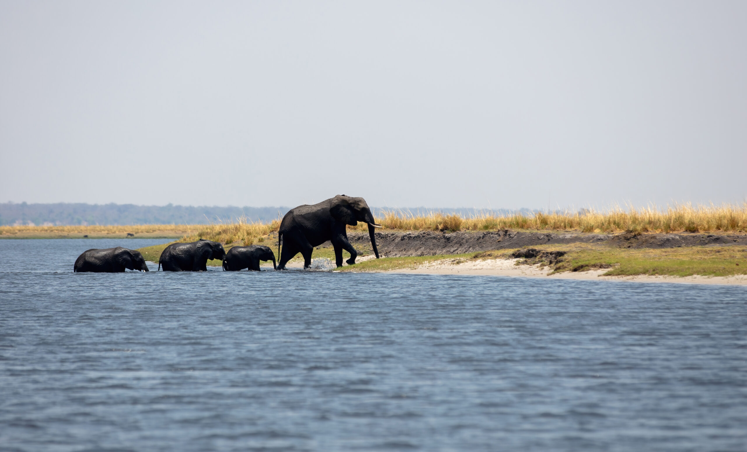 Beach safari in Saadani National Park