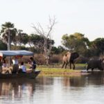 rufiji river boat safari nyerere national park