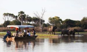 rufiji river boat safari nyerere national park