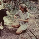 Tanzania hidden parks