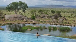 Luxury Tarangire Safari Tours