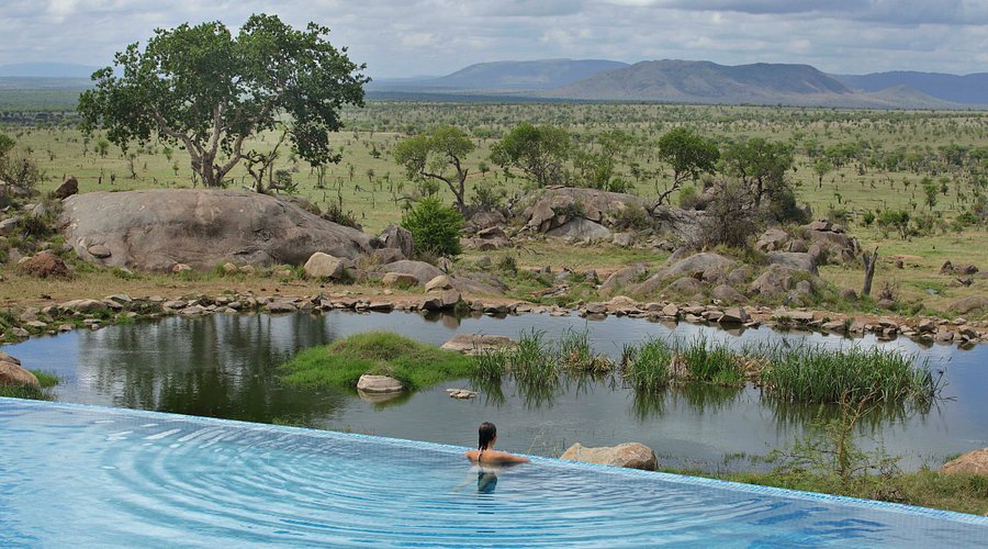 Luxury Tarangire Safari Tours