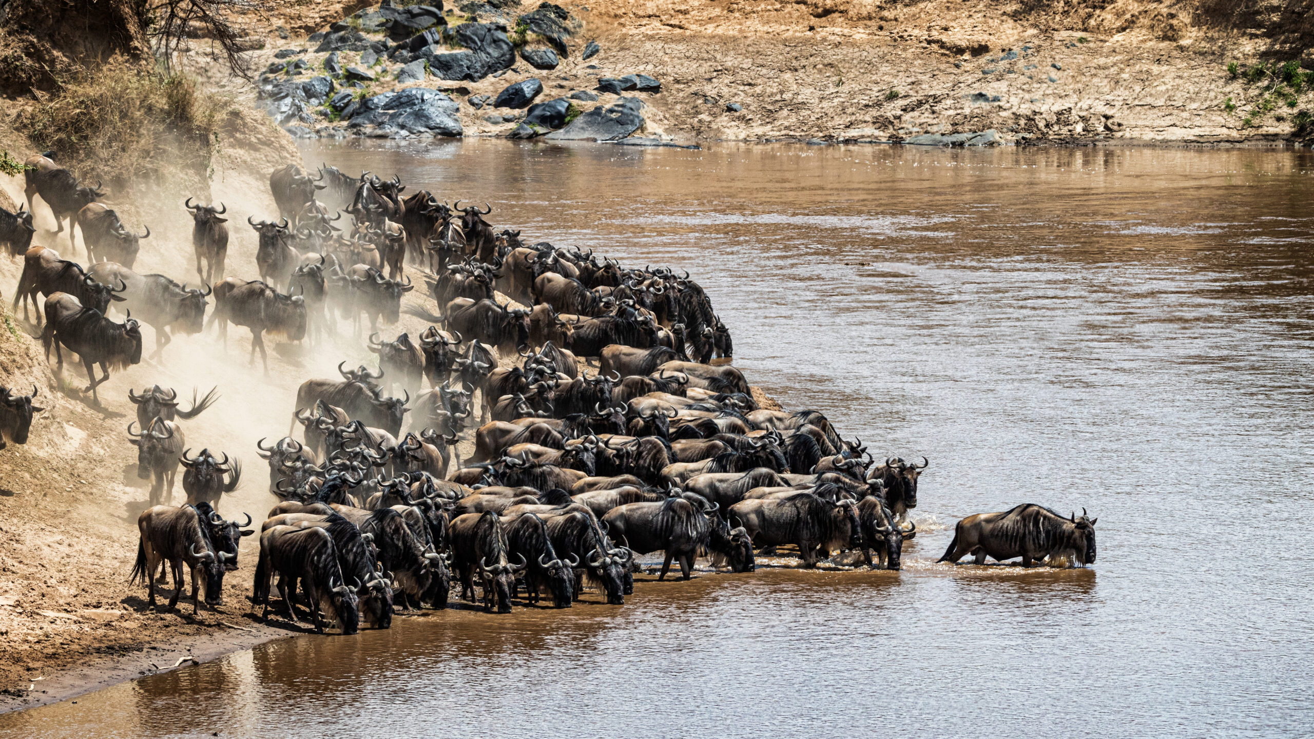 Mara River crossing